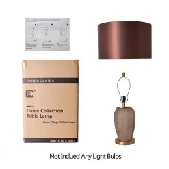 Iris 23 in. Apricot Indoor Table Lamp by CARRO -Decor Therapy Shop apricot carro table lamps at g23021a1 76 1000