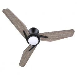 Tilbury 44 in. Integrated LED Indoor/Outdoor Black Smart Ceiling Fan with Light and Remote, Works with Alexa/Google Home by CARRO