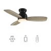 Trendsetter 44 in. Dimmable LED Indoor/Outdoor Black Smart Ceiling Fan with Light and Remote, Works w/Alexa/Google Home by CARRO -Decor Therapy Shop black carro ceiling fans with lights hs443q l12 bo 1 64 1000