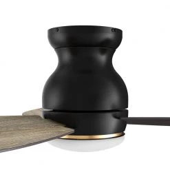 Trendsetter 44 in. Dimmable LED Indoor/Outdoor Black Smart Ceiling Fan with Light and Remote, Works w/Alexa/Google Home by CARRO 17 Trendsetter 44 in. Dimmable LED Indoor/Outdoor Black Smart Ceiling Fan with Light and Remote, Works w/Alexa/Google Home by CARRO -Decor Therapy Shop black carro ceiling fans with lights hs443q l12 bo 1 c3 1000