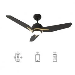Tilbury 48 in. Integrated LED Indoor/Outdoor Black Smart Ceiling Fan with Light and Remote, Works with Alexa/Google Home by CARRO