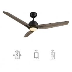 Tilbury 48 in. Integrated LED Indoor/Outdoor Black Smart Ceiling Fan with Light and Remote, Works with Alexa/Google Home by CARRO