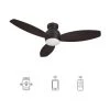 Trendsetter 48 in. Dimmable LED Indoor/Outdoor Black Smart Ceiling Fan with Light and Remote, Works w/Alexa/Google Home by CARRO