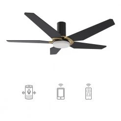Voyager 48 in. Dimmable LED Indoor/Outdoor Black Smart Ceiling Fan with Light and Remote, Works with Alexa/Google Home by CARRO