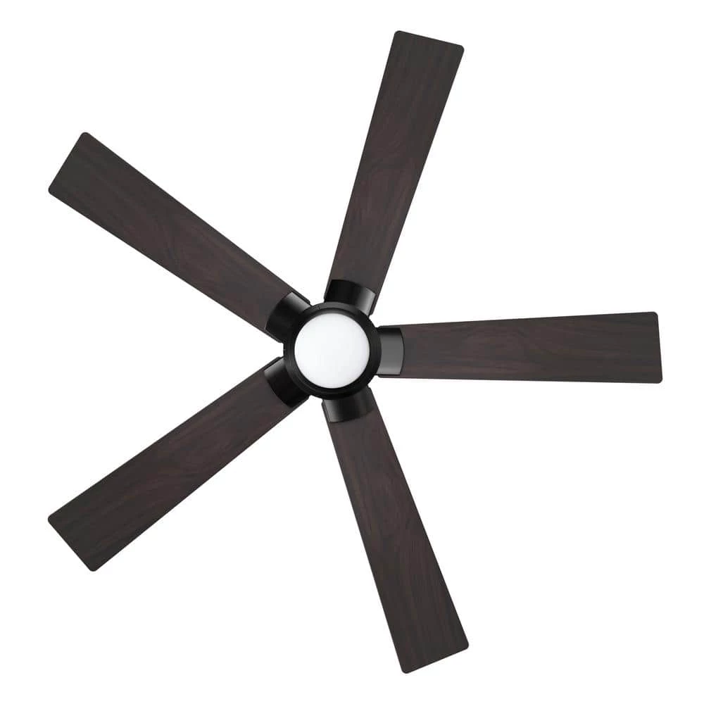 Aspen 48 in. Dimmable LED Indoor/Outdoor Black Smart Ceiling Fan with Light and Remote, Works with Alexa/Google Home by CARRO 8 Aspen 48 in. Dimmable LED Indoor/Outdoor Black Smart Ceiling Fan with Light and Remote, Works with Alexa/Google Home by CARRO - Image 6