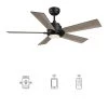 Aspen 48 in. Dimmable LED Indoor/Outdoor Black Smart Ceiling Fan with Light and Remote, Works with Alexa/Google Home by CARRO