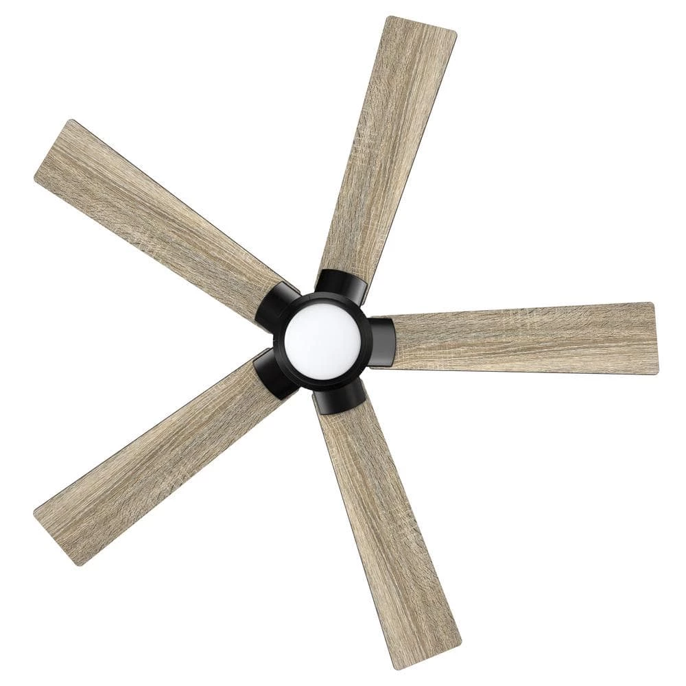 Aspen 48 in. Dimmable LED Indoor/Outdoor Black Smart Ceiling Fan with Light and Remote, Works with Alexa/Google Home by CARRO 8 Aspen 48 in. Dimmable LED Indoor/Outdoor Black Smart Ceiling Fan with Light and Remote, Works with Alexa/Google Home by CARRO - Image 6