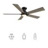 Aspen 48 in. Dimmable LED Indoor/Outdoor Black Smart Ceiling Fan with Light and Remote, Works with Alexa/Google Home by CARRO -Decor Therapy Shop black carro ceiling fans with lights hs485j1 l11 bo 1 fm 64 1000