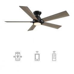 Aspen 48 in. Dimmable LED Indoor/Outdoor Black Smart Ceiling Fan with Light and Remote, Works with Alexa/Google Home by CARRO