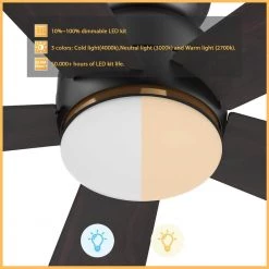 Kaze 48 in. Dimmable LED Indoor/Outdoor Black Smart Ceiling Fan with Light and Remote, Works with Alexa/Google Home by CARRO -Decor Therapy Shop black carro ceiling fans with lights hs485q l12 b5 1 fm c3 1000