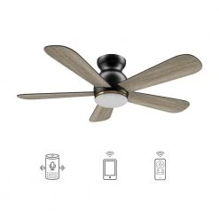 Kaze 48 in. Dimmable LED Indoor/Outdoor Black Smart Ceiling Fan with Light and Remote, Works with Alexa/Google Home by CARRO