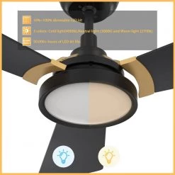 Veter 52 in. Dimmable LED Indoor/Outdoor Black Smart Ceiling Fan with Light and Remote Works with Alexa/Google Home by CARRO -Decor Therapy Shop black carro ceiling fans with lights hs523b3 l22 b2 1g 4f 1000