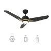Tilbury 52 in. Integrated LED Indoor/Outdoor Black Smart Ceiling Fan with Light and Remote, Works with Alexa/Google Home by CARRO -Decor Therapy Shop black carro ceiling fans with lights hs523j3 l11 b2 1g 64 1000