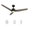 Tilbury 52 in. Integrated LED Indoor/Outdoor Black Smart Ceiling Fan with Light and Remote, Works with Alexa/Google Home by CARRO -Decor Therapy Shop black carro ceiling fans with lights hs523j3 l11 bs 1 64 1000