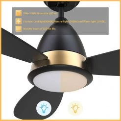Fayette 52 in. Integrated LED Indoor/Outdoor Black Smart Ceiling Fan with Light and Remote, Works with Alexa/Google Home by CARRO -Decor Therapy Shop black carro ceiling fans with lights hs523q7 l12 b2 1 c3 1000