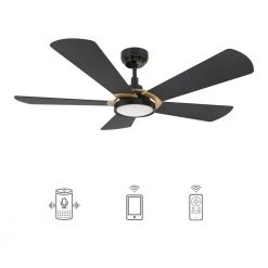 Wilkes 52 in. Dimmable LED Indoor/Outdoor Black Smart Ceiling Fan with Light and Remote, Works with Alexa/Google Home by CARRO