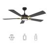 Apex 52 in. Integrated LED Indoor/Outdoor Black Smart Ceiling Fan with Light and Remote, Works w/Alexa/Google Home by CARRO -Decor Therapy Shop black carro ceiling fans with lights hs525e l12 b2 1g 64 1000