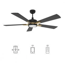 Apex 52 in. Integrated LED Indoor/Outdoor Black Smart Ceiling Fan with Light and Remote, Works w/Alexa/Google Home by CARRO
