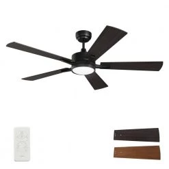 Apex 52 in. Integrated LED Indoor/Outdoor Black Smart Ceiling Fan with Light and Remote, Works w/Alexa/Google Home by CARRO