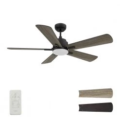 Apex 52 in. Integrated LED Indoor/Outdoor Black Smart Ceiling Fan with Light and Remote, Works with Alexa/Google Home by CARRO