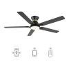 Essex 52 in. Dimmable LED Indoor/Outdoor Black Smart Ceiling Fan with Light and Remote, Works with Alexa/Google Home by CARRO -Decor Therapy Shop black carro ceiling fans with lights hs525j l12 b2 1 fm 64 1000