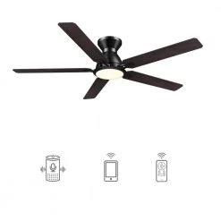 Essex 52 in. Dimmable LED Indoor/Outdoor Black Smart Ceiling Fan with Light and Remote, Works with Alexa/Google Home by CARRO