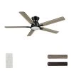 Essex 52 in. Dimmable LED Indoor/Outdoor Black Smart Ceiling Fan with Light and Remote, Works with Alexa/Google Home by CARRO -Decor Therapy Shop black carro ceiling fans with lights hs525j l12 bg 1 fm 64 1000