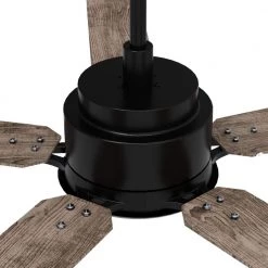 Essex 52 in. Dimmable LED Indoor/Outdoor Black Smart Ceiling Fan with Light and Remote, Works w/Alexa/Google Home by CARRO -Decor Therapy Shop black carro ceiling fans with lights hs525j l12 bo 1 4f 1000