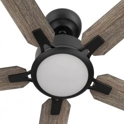 Essex 52 in. Dimmable LED Indoor/Outdoor Black Smart Ceiling Fan with Light and Remote, Works w/Alexa/Google Home by CARRO -Decor Therapy Shop black carro ceiling fans with lights hs525j l12 bo 1 c3 1000
