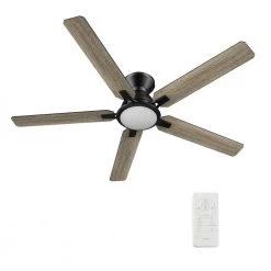 Essex 52 in. Integrated LED Indoor/Outdoor Black Smart Ceiling Fan with Light and Remote, Works with Alexa/Google Home by CARRO -Decor Therapy Shop black carro ceiling fans with lights hs525j l12 bo 1 fm 1f 1000