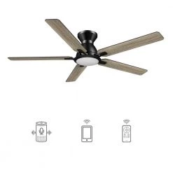 Essex 52 in. Integrated LED Indoor/Outdoor Black Smart Ceiling Fan with Light and Remote, Works with Alexa/Google Home by CARRO