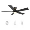 Aspen 52 in. Dimmable LED Indoor/Outdoor Black Smart Ceiling Fan with Light and Remote, Works with Alexa/Google Home by CARRO -Decor Therapy Shop black carro ceiling fans with lights hs525j1 l11 b2 1 fm 64 1000
