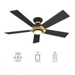 Aspen 52 in. Dimmable LED Indoor/Outdoor Black Smart Ceiling Fan with Light and Remote, Works with Alexa/Google Home by CARRO