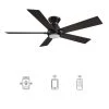 Aspen 52 in. Dimmable LED Indoor/Outdoor Black Smart Ceiling Fan with Light and Remote, Works with Alexa/Google Home by CARRO -Decor Therapy Shop black carro ceiling fans with lights hs525j1 l11 b5 1 fm 64 1000
