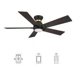 Aspen 52 in. Dimmable LED Indoor/Outdoor Black Smart Ceiling Fan with Light and Remote, Works with Alexa/Google Home by CARRO