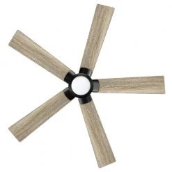 Aspen 52 in. Dimmable LED Indoor/Outdoor Black Smart Ceiling Fan with Light and Remote, Works with Alexa/Google Home by CARRO -Decor Therapy Shop black carro ceiling fans with lights hs525j1 l11 bg 1 fm 44 1000