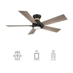 Aspen 52 in. Dimmable LED Indoor/Outdoor Black Smart Ceiling Fan with Light and Remote, Works with Alexa/Google Home by CARRO