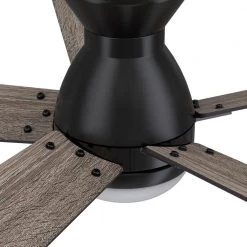 Aspen 52 in. Dimmable LED Indoor/Outdoor Black Smart Ceiling Fan with Light and Remote, Works with Alexa/Google Home by CARRO -Decor Therapy Shop black carro ceiling fans with lights hs525j1 l21 bg 1 fm 1f 1000