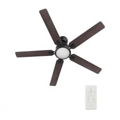 Essex 56 in. Dimmable LED Indoor/Outdoor Black Smart Ceiling Fan with Light and Remote, Works with Alexa/Google Home by CARRO -Decor Therapy Shop black carro ceiling fans with lights hs565j l12 b5 1 4f 1000