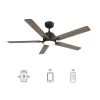 Essex 56 in. Dimmable LED Indoor/Outdoor Black Smart Ceiling Fan with Light and Remote, Works with Alexa/Google Home by CARRO -Decor Therapy Shop black carro ceiling fans with lights hs565j l12 bo 1 64 1000