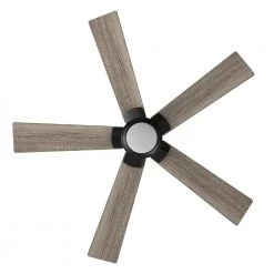 Aspen 56 in. Dimmable LED Indoor/Outdoor Black Smart Ceiling Fan with Light and Remote, Works with Alexa/Google Home by CARRO 17 Aspen 56 in. Dimmable LED Indoor/Outdoor Black Smart Ceiling Fan with Light and Remote, Works with Alexa/Google Home by CARRO -Decor Therapy Shop black carro ceiling fans with lights hs565j1 l11 bo 1 c3 1000