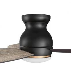 Trendsetter 60 in. Dimmable LED Indoor/Outdoor Black Smart Ceiling Fan with Light and Remote, Works w/Alexa/Google Home by CARRO -Decor Therapy Shop black carro ceiling fans with lights hs603q l12 bg 1 4f 1000