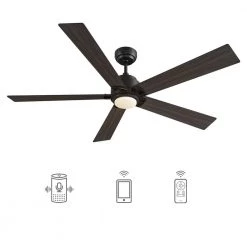 Aspen 60 in. Dimmable LED Indoor/Outdoor Black Smart Ceiling Fan with Light and Remote, Works with Alexa/Google Home by CARRO