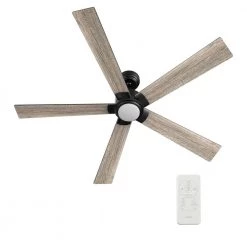 Aspen 60 in. Dimmable LED Indoor/Outdoor Black Smart Ceiling Fan with Light and Remote, Works with Alexa/Google Home by CARRO -Decor Therapy Shop black carro ceiling fans with lights hs605j1 l11 bo 1 1f 1000