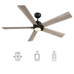 Aspen 60 in. Dimmable LED Indoor/Outdoor Black Smart Ceiling Fan with Light and Remote, Works with Alexa/Google Home by CARRO