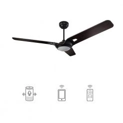 Alden 52 in. Dimmable LED Indoor/Outdoor Black Smart Ceiling Fan with Light and Remote, Works with Alexa/Google Home by CARRO