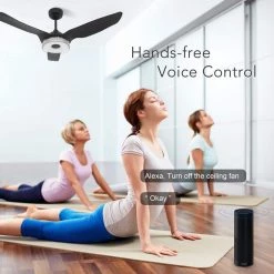 Finley 52 in. Dimmable LED Indoor/Outdoor Black Smart Ceiling Fan, Light and Remote, Works with Alexa/Google Home/Siri by CARRO -Decor Therapy Shop black carro ceiling fans with lights ns523f l12 b2 44 1000