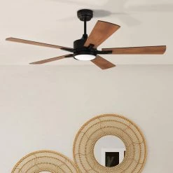 Everest 52 in. Dimmable LED Indoor/Outdoor Black Smart Ceiling Fan, Light and Remote, Works with Alexa/Google Home/Siri by CARRO -Decor Therapy Shop black carro ceiling fans with lights ns525e l12 b3 c3 1000