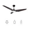Brently 56 in. Dimmable LED Indoor/Outdoor Black Smart Ceiling Fan with Light and Remote, Works with Alexa/Google Home by CARRO -Decor Therapy Shop black carro ceiling fans with lights ns563b l12 b5 64 1000