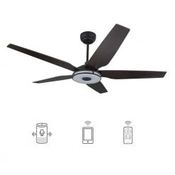 Starfish 56 in. Dimmable LED Indoor/Outdoor Black Smart Ceiling Fan with Light and Remote, Works with Alexa/Google Home by CARRO